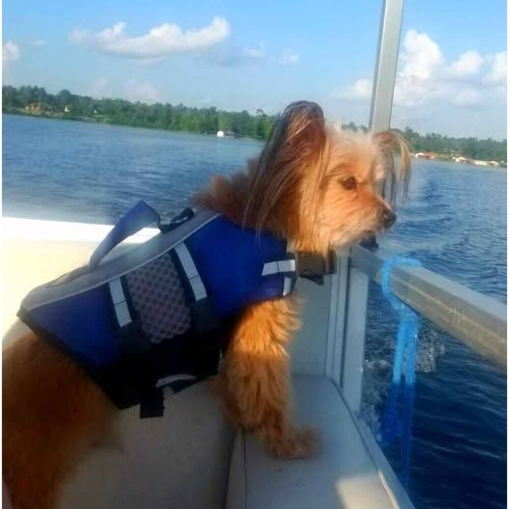 Dog Life Jacket XS Blue Swimming Vest Reflective,Handle, Leash Ring, Extra Small